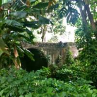 Saint George Village Botanical Gardens